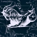  Capricorn