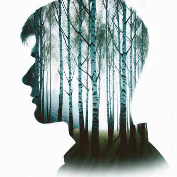 A profile photo featuring a silhouette of a person filled with a serene birch forest, blending nature with the human form for a unique forum avatar.