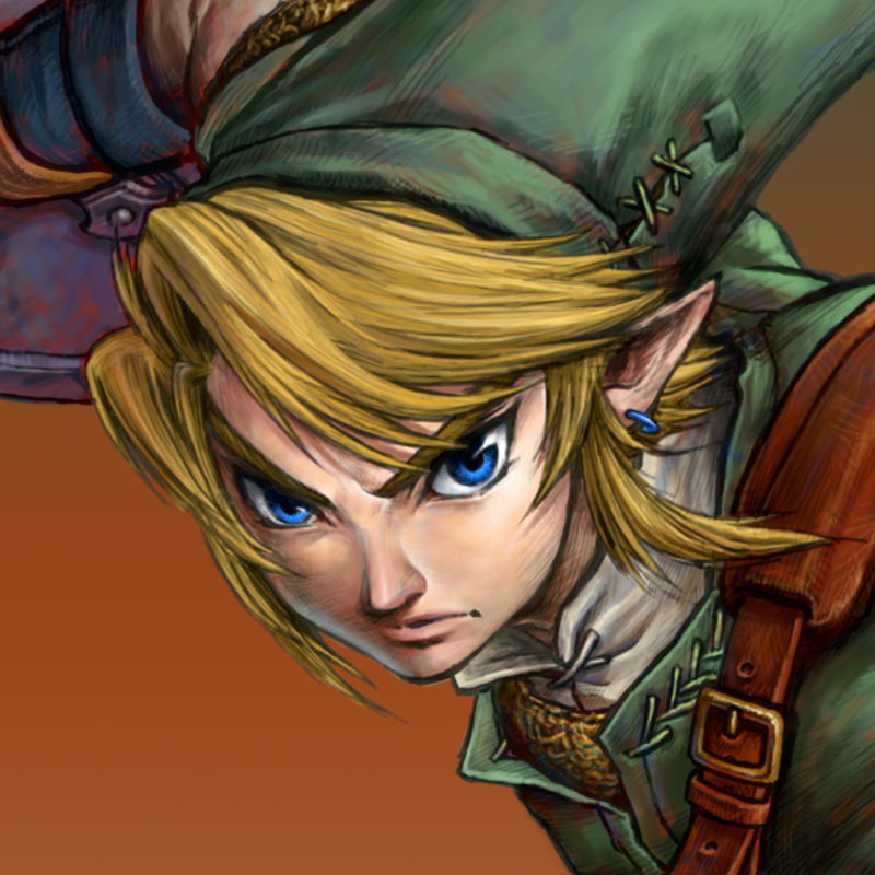 The Legend of Zelda: Twilight Princess HD Link 4K Wallpaper