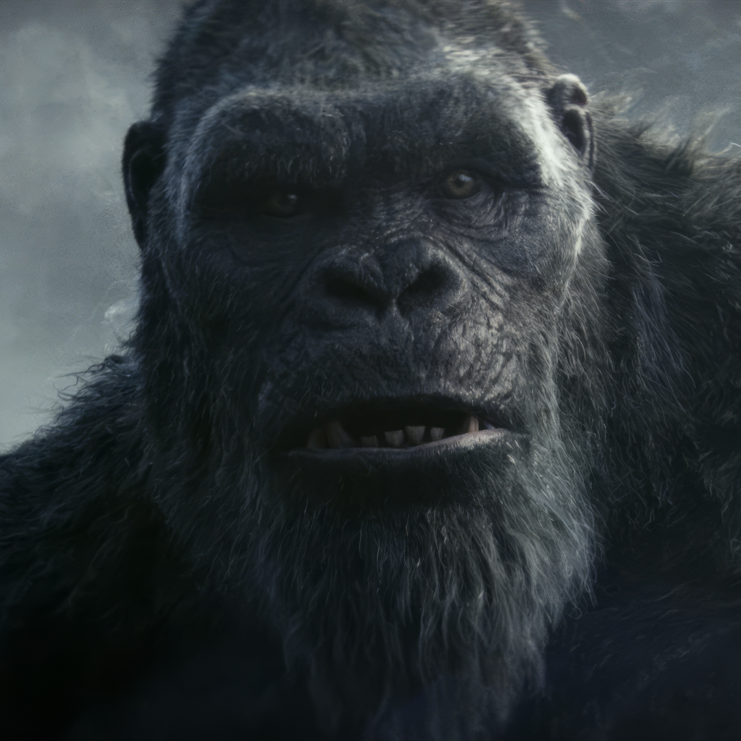 Godzilla x Kong: The New Empire Pfp