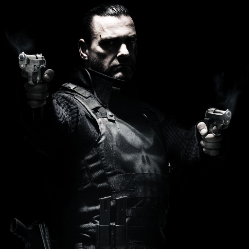 punisher: war zone Pfp