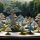 bonsai garden