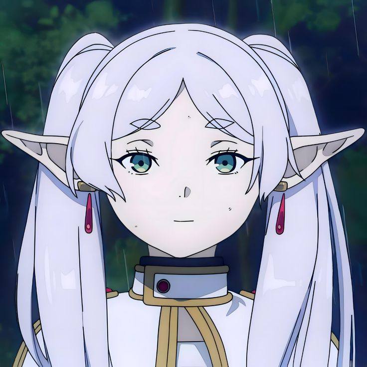 Anime Elf Avatar | Frieren: Beyond Journey's End