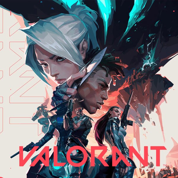 Valorant video game avatar featuring dynamic artwork of two characters with the game's logo below.