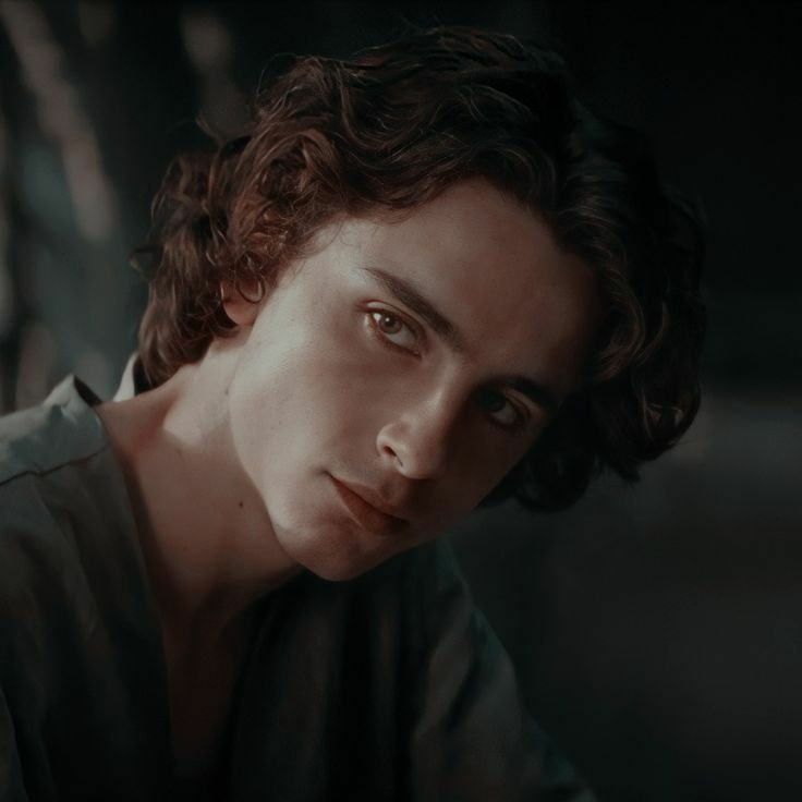 Profile photo of Timothée Chalamet as his character from the 2021 movie Dune, showing a close-up of his pensive expression.