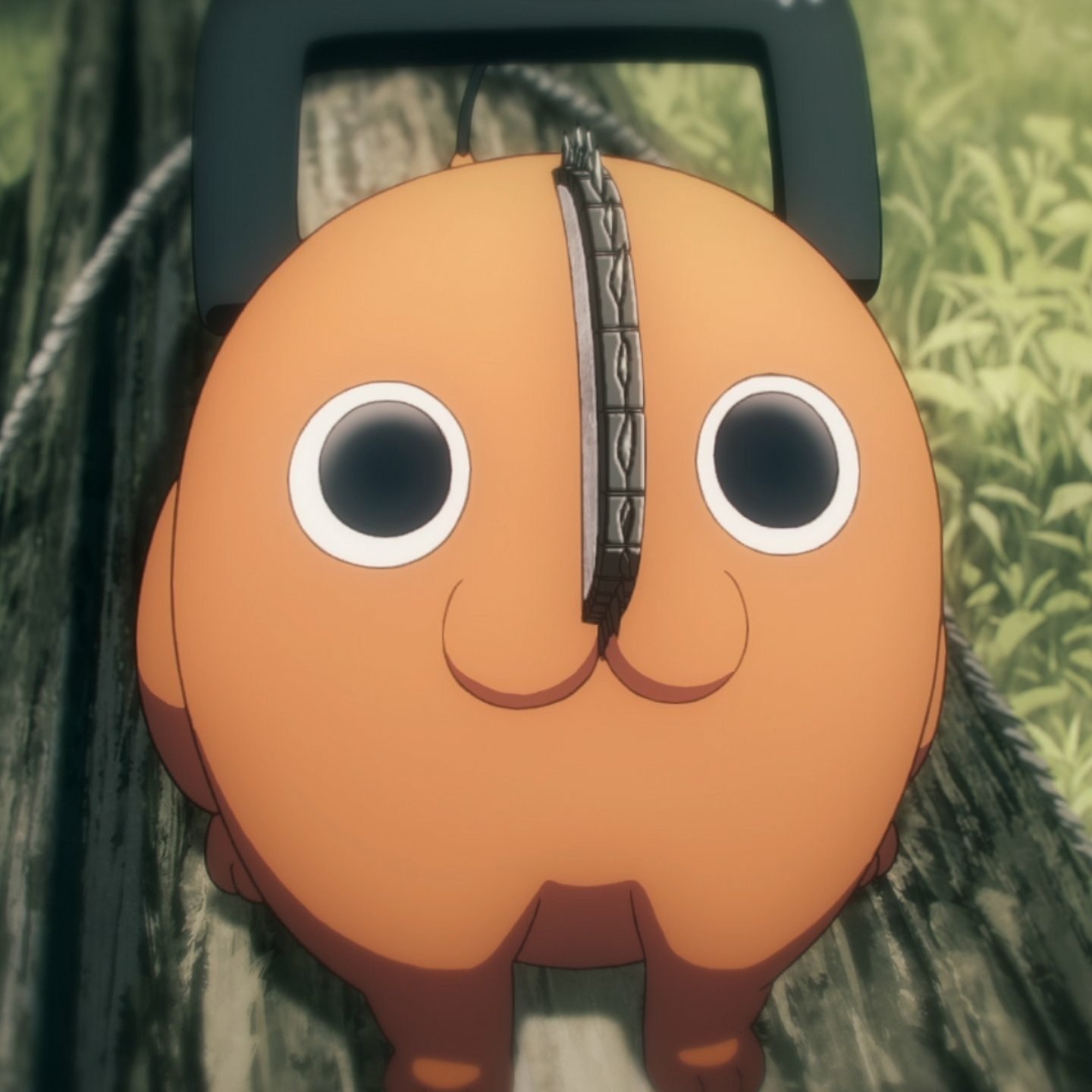 Chainsaw Man anime avatar featuring the character Pochita with big round eyes and a chainsaw blade on its head.