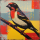 Finch