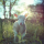 lamb