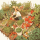 Farming