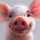 Piglet