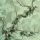 Ivy