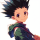 Gon Freecss