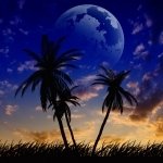 Download Artistic Digital Art PFP