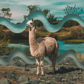 A llama stands gracefully by a serene body of water, framed by soft, wavy graphics. This image serves as a playful forum avatar.