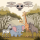 safari