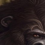 Download Funny Monkey PFP