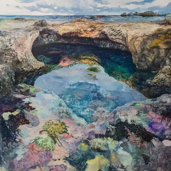 A vibrant tide pool with clear water revealing colorful marine life, rocks, and a cloudy sky above, used as a forum avatar/profile photo.