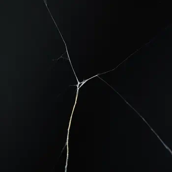 A close-up of a cracked screen displayed against a dark background, featuring intricate web-like fissures, suitable for use as a forum avatar or profile picture.