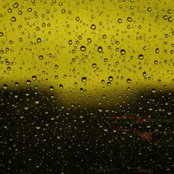 A close-up of raindrops on a yellow-tinted surface, creating a textured and moody background, suited for a forum avatar or profile photo.