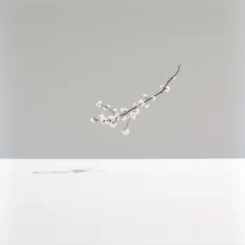 Minimalist forum avatar featuring a delicate branch of white blossoms floating above a white surface against a soft gray background.