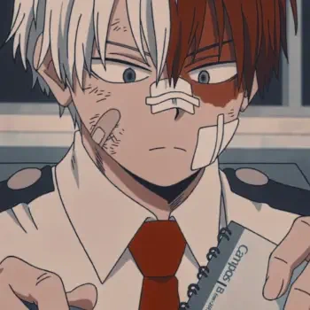 Anime-style forum avatar of Shoto Todoroki from My Hero Academia, showing his dual-colored hair and facial injuries with a focused expression.