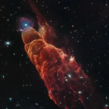 Profile avatar featuring a vivid galaxy captured by the James Webb Space Telescope, showcasing fiery cosmic clouds and stars in deep space with a sci-fi aesthetic.