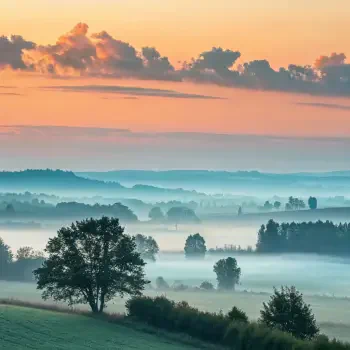 Morning mist blankets a serene landscape of rolling hills and scattered trees under a soft, colorful sunrise sky, captured in a peaceful forum avatar.