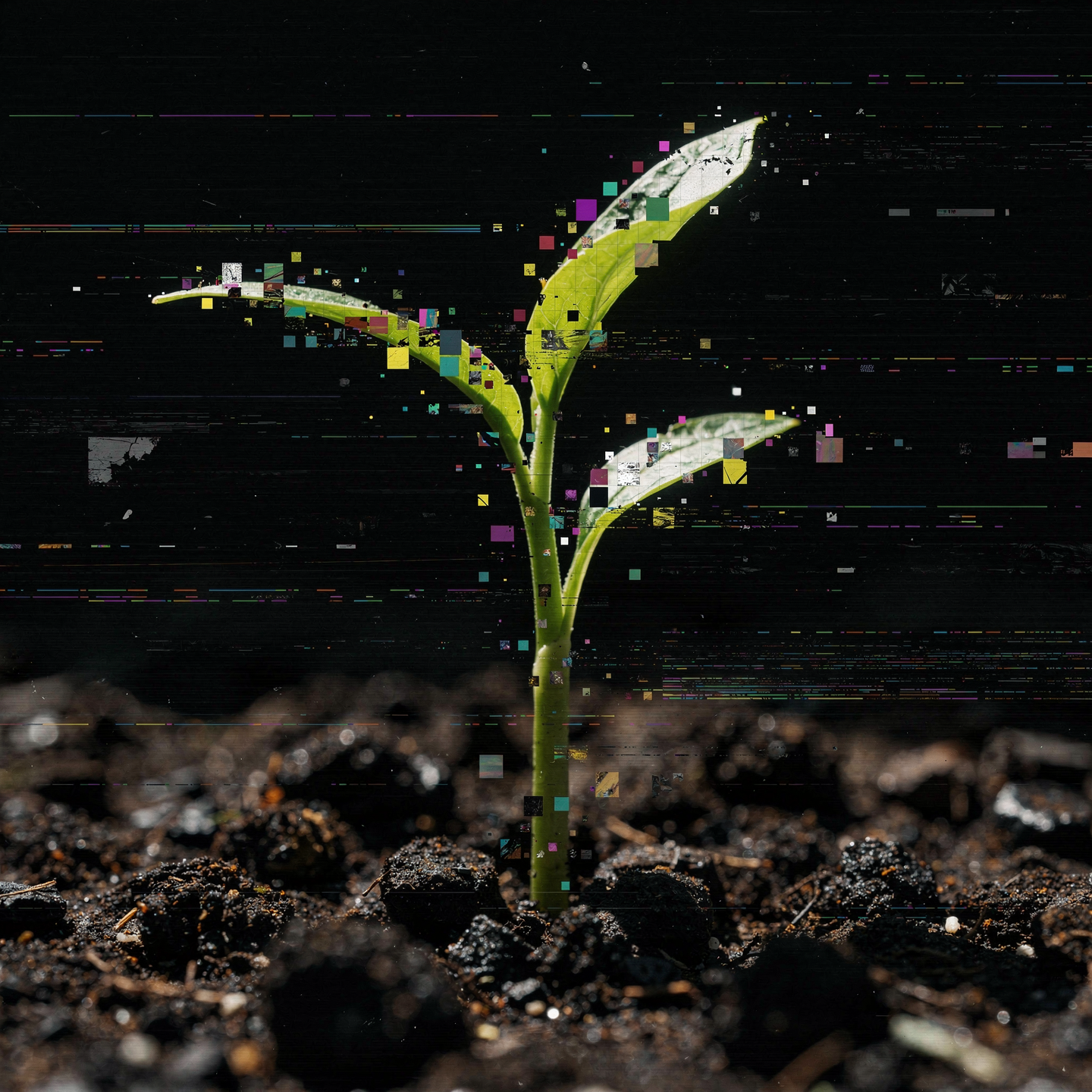 Forum avatar/pfp: a bright green sprout emerging from dark soil with pixelated glitch accents on the leaves and background.