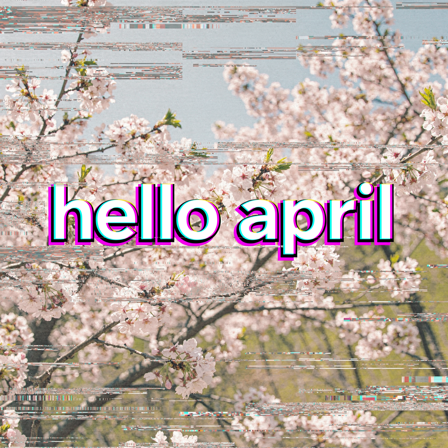 Forum avatar/pfp: pink cherry blossoms with a glitchy overlay and bold hello april text across the center.