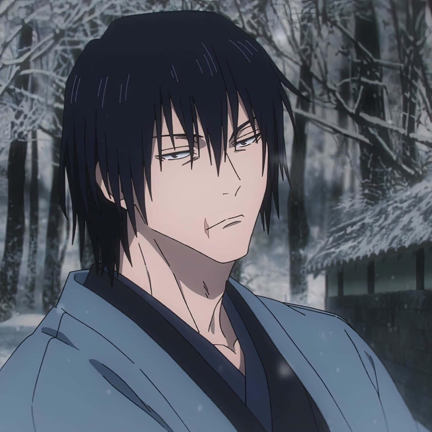 PFP of Toji Fushiguro (Jujutsu Kaisen 2nd Season): anime boy with dark hair and smug expression, aura-farming energy, standing in a snowy forest forum avatar.