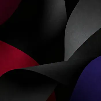 Abstract black curved shapes with red and purple accents and layered texture — minimalist forum avatar/pfp.
