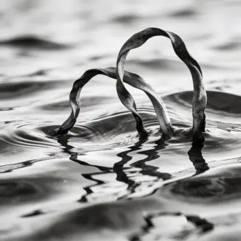 Grayscale forum avatar/pfp: two curved plant stems arching from rippled water, their reflections forming mirrored arches on the surface.