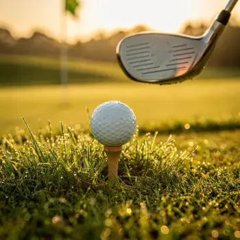 Forum avatar/profile photo: close-up of a golf ball on a tee with a club poised to strike at sunrise on a dewy green.