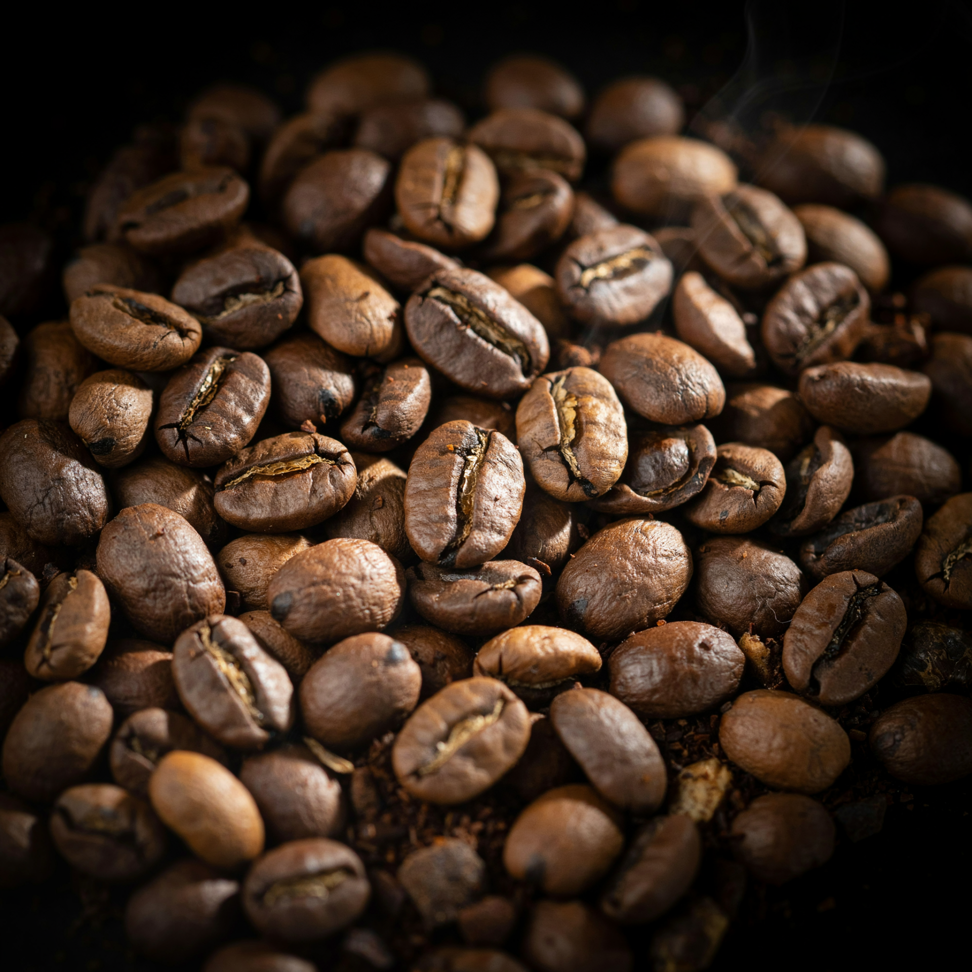 Forum avatar/profile photo: close-up of roasted coffee beans, warm brown and textured, clustered against a dark background.