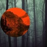 Download Artistic Forest PFP