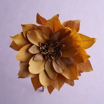 Dried golden-brown flower close-up on a pale lavender background, presented as a forum avatar / pfp / profile photo.