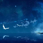  Night of universe 
