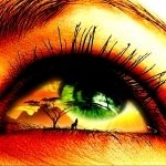 Download Technology Nvidia PFP