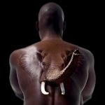 Download Photography Manipulation PFP