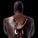  Elephant Man
