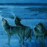  Wolves