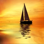 vehicle boat PFP