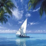 vehicle boat PFP