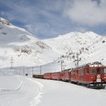 Download Vehicle Train PFP