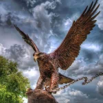  Eagle Statue