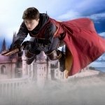 Download Movie Harry Potter PFP