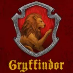 movie Harry Potter PFP