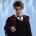 movie Harry Potter and the Prisoner of Azkaban PFP