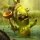 Rayman Raving Rabbids