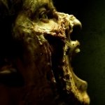 Download Music Dead Haven PFP